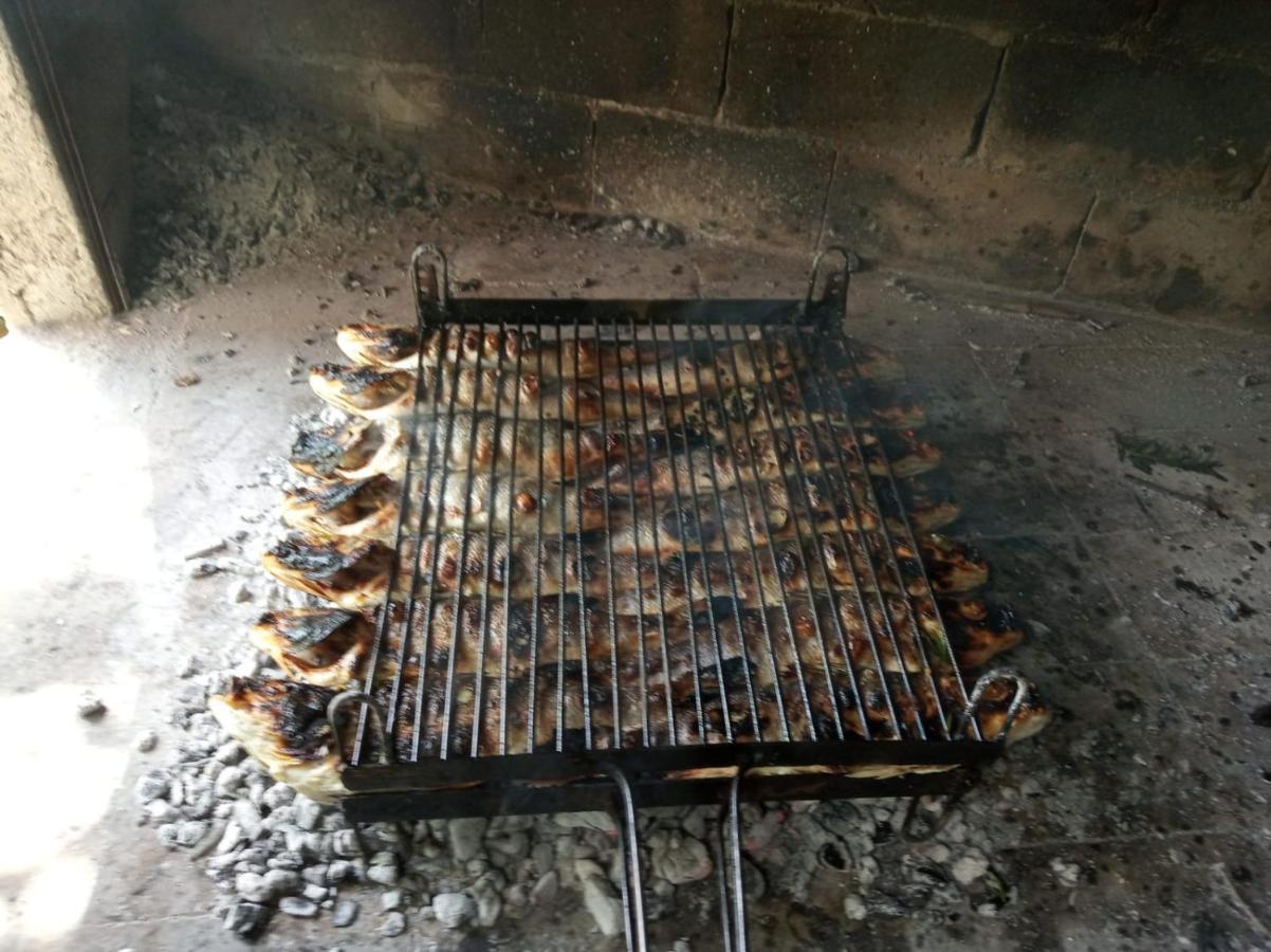 ANTOS Put Gaja, Split Apartment Bagian luar foto